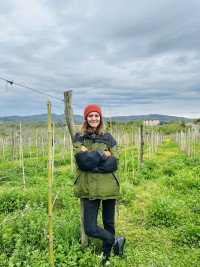 Simonica - Chkheidze Wines